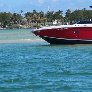 Meet your Posher, Peninsula